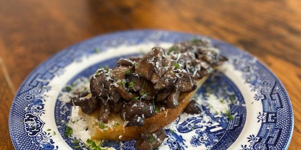 Mushroom bruschetta with grated cheese and herbs.