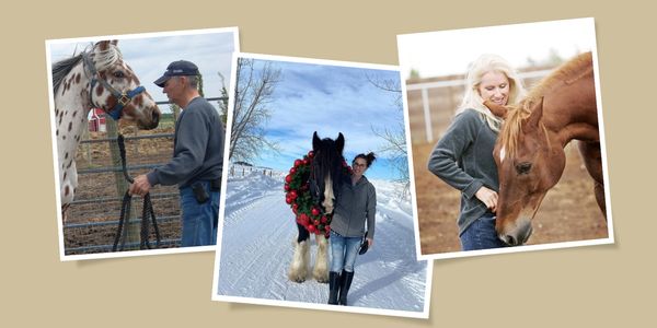 Facilitators with a love of horses and years of horse experience