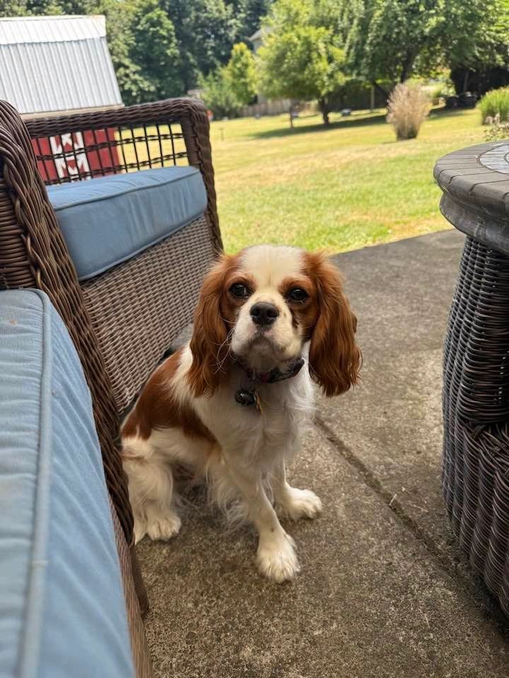 Ruby