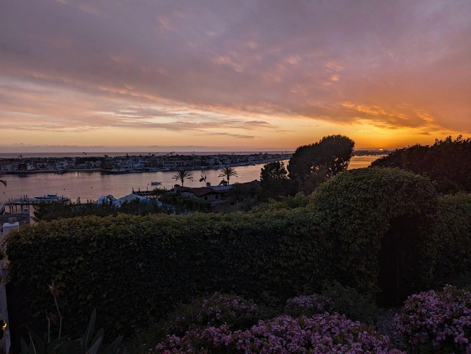 The last sunset in her lifetime. A photo taken by her brother near their home in California. Also used for the cover of her book.
