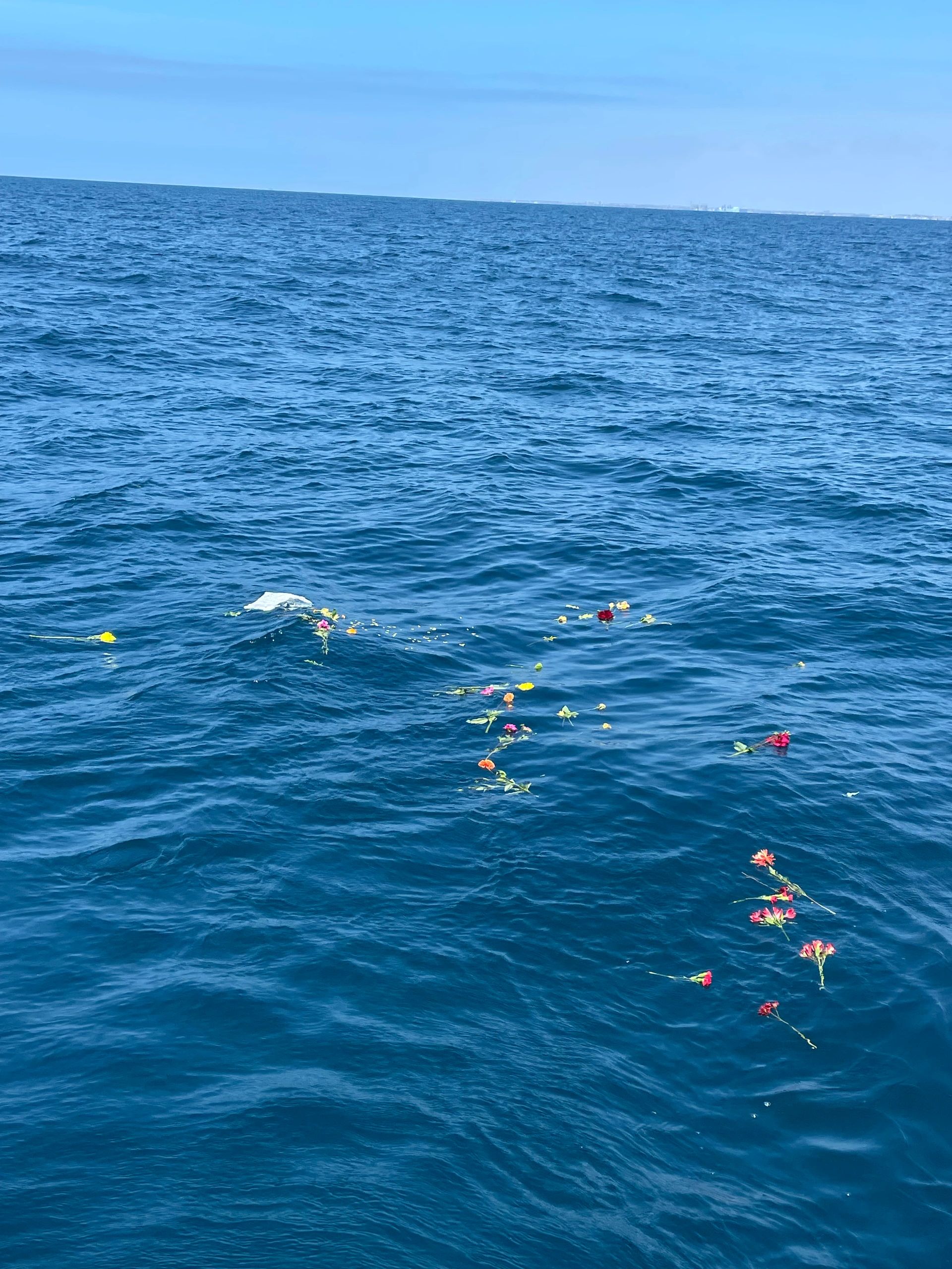 We placed mom's ashes in the Pacific Ocean