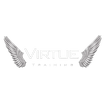 Virtue Training