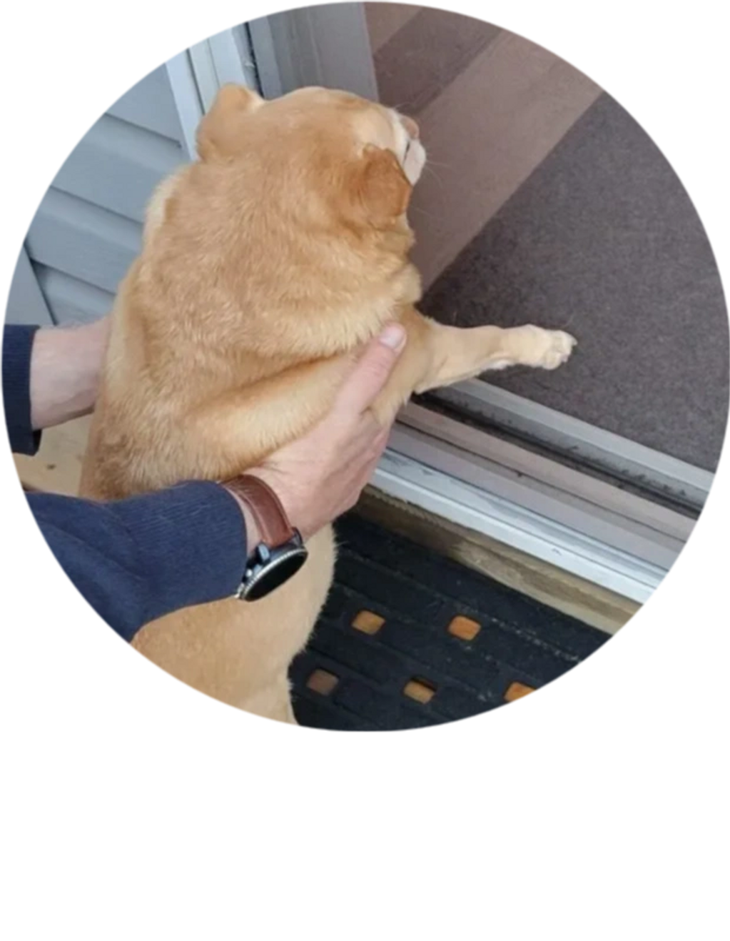 ScreenProtector Door and Screen Protector for Dog and