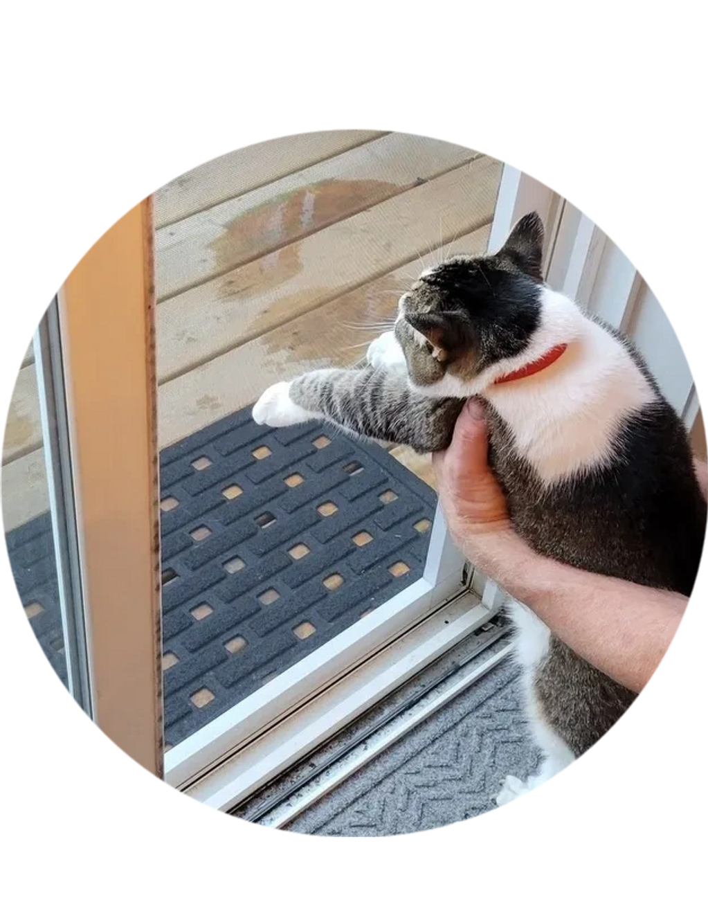 ScreenProtector Door and Screen Protector for Dog and