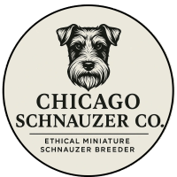 Chicago Schnauzer Co