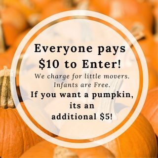 $15 Entry Fee + Pumpkin

$10 Visitor Fee 
(NO pumpkin)