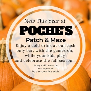 Pieces of Eight Exclusives ~ Pumpkin Patch Wall Art, Price $19.95 in  Lafayette, LA from Pieces Of Eight