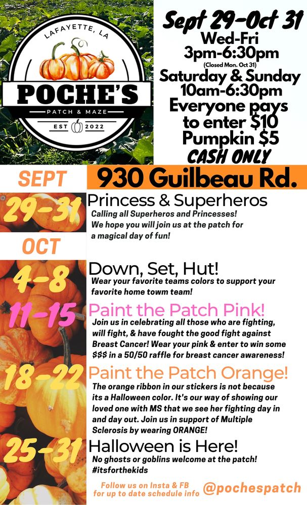 Our pumpkin patch is the perfect family friendly fun fall experience