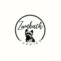 Zumbach Puppies