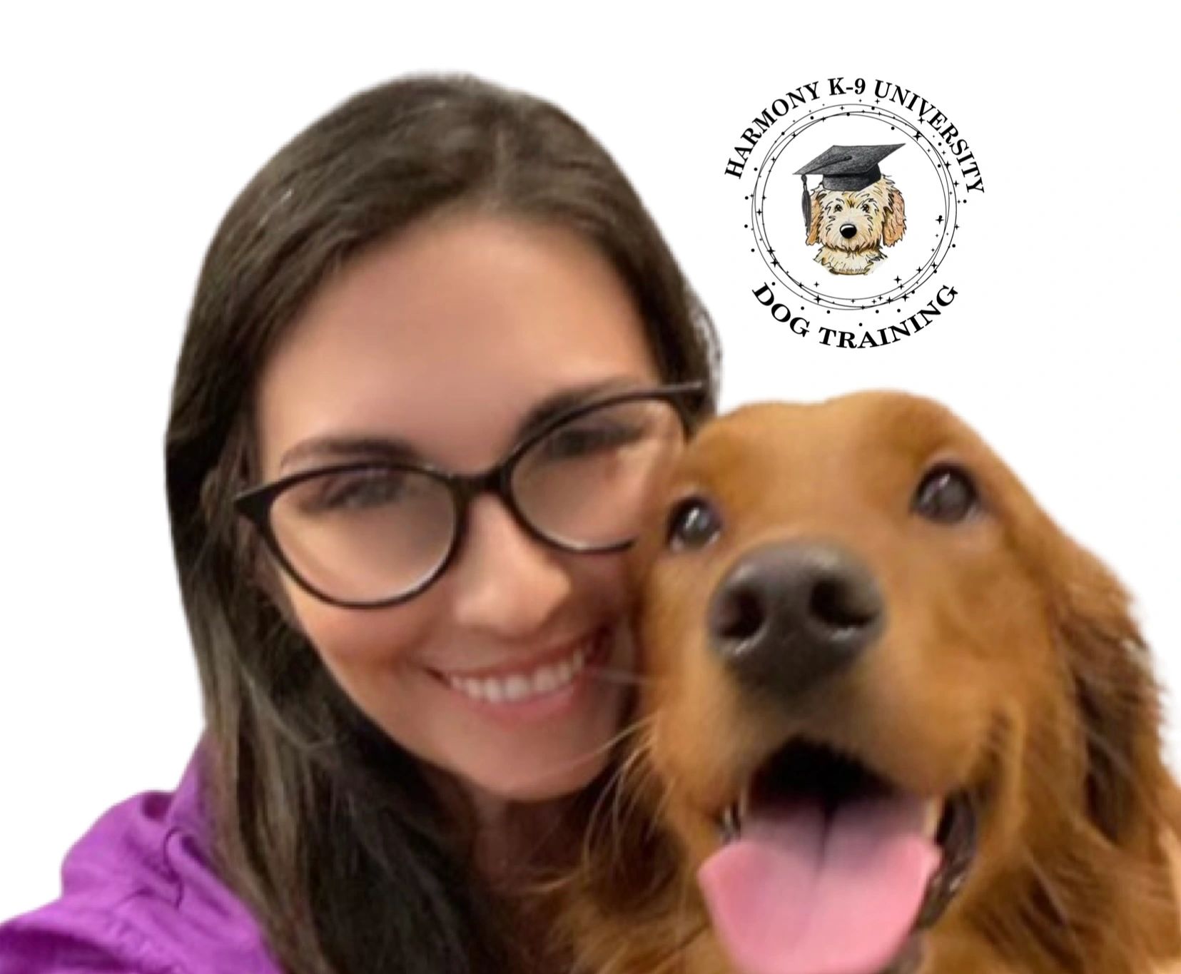 Harmony k9 sale training