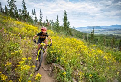 Mountain biker rides through a vibrant yellow wildflower meadow on a forest trail.