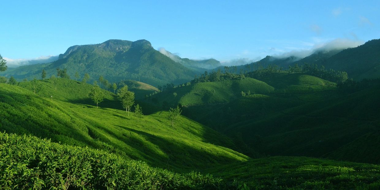 Green valley.