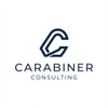 Carabiner Consulting LLC