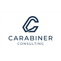 Carabiner Consulting LLC