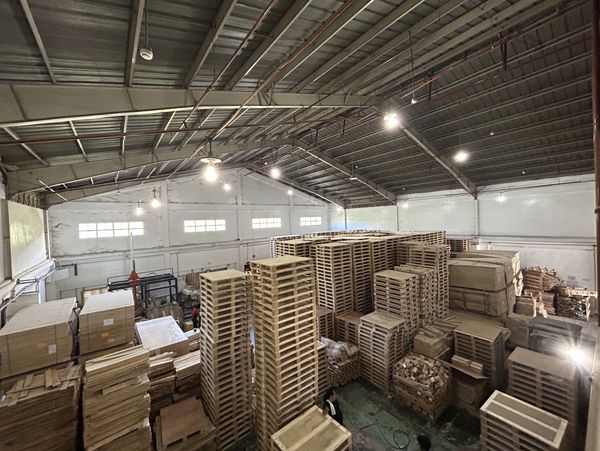 wooden pallet manufacturer