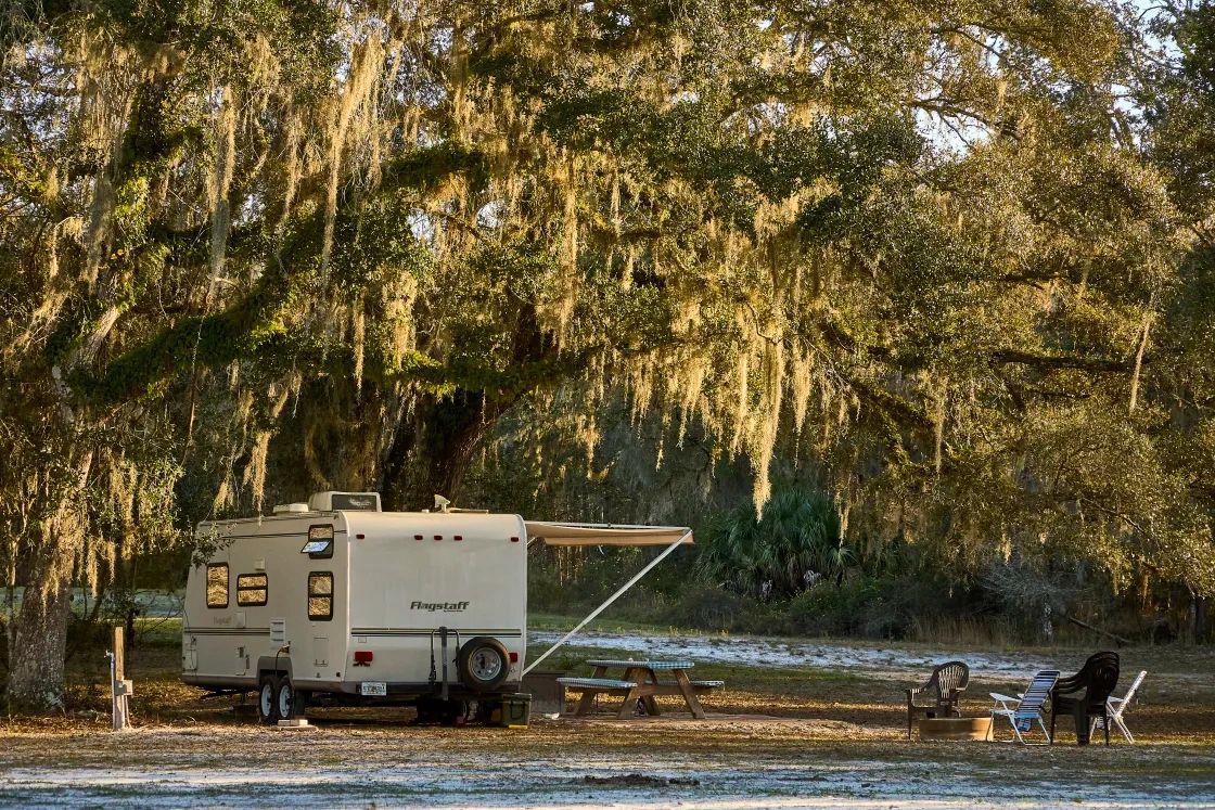 Picnic table, fire pit, Sunset, forest, withlacoochee forest, RV 30 amp site