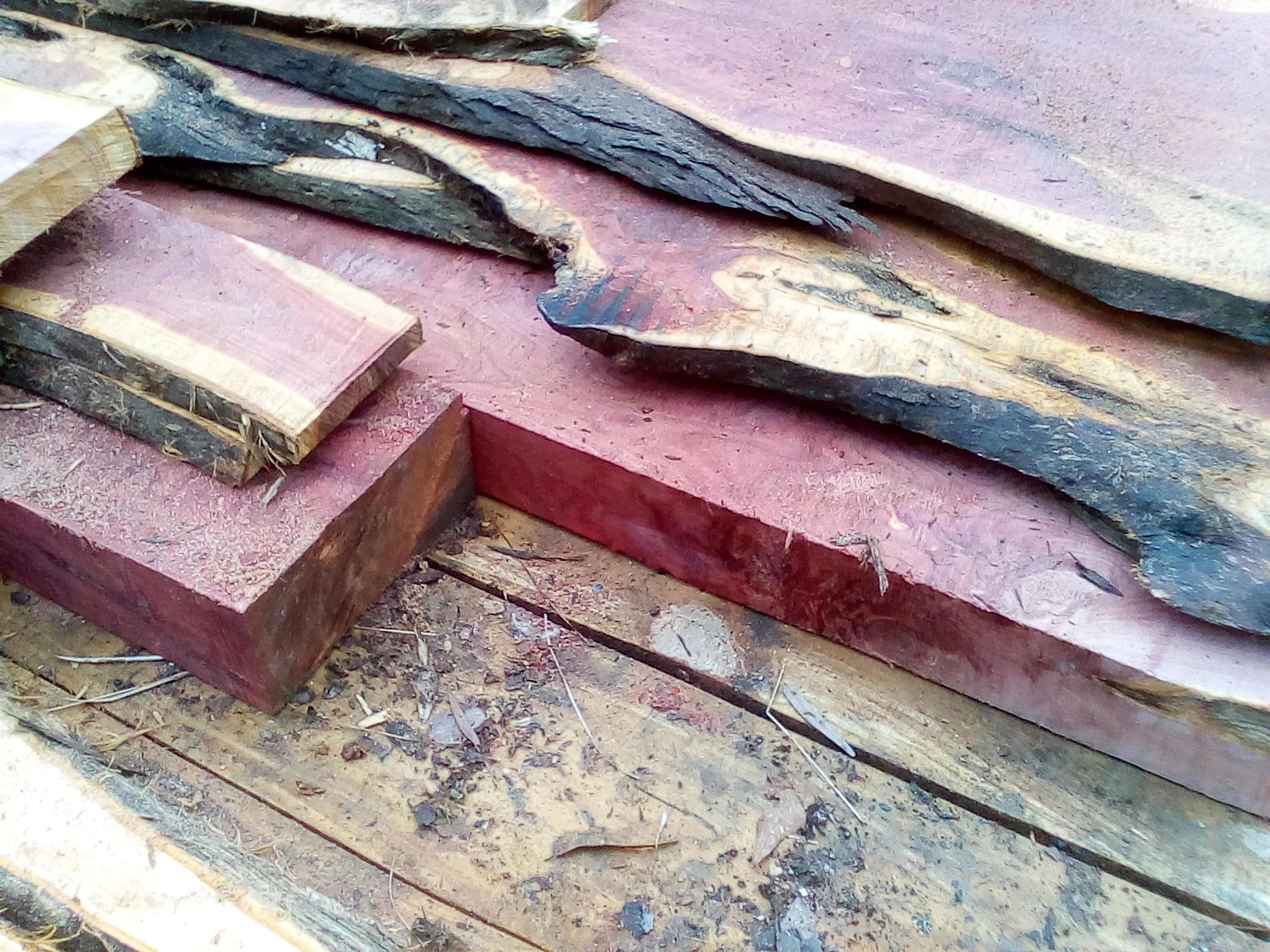 Big Bear Lumber Company Custom Cut Lumber, Custom Slabs, Mill