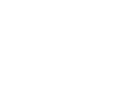 Royal Guitars
Repairs & Service
