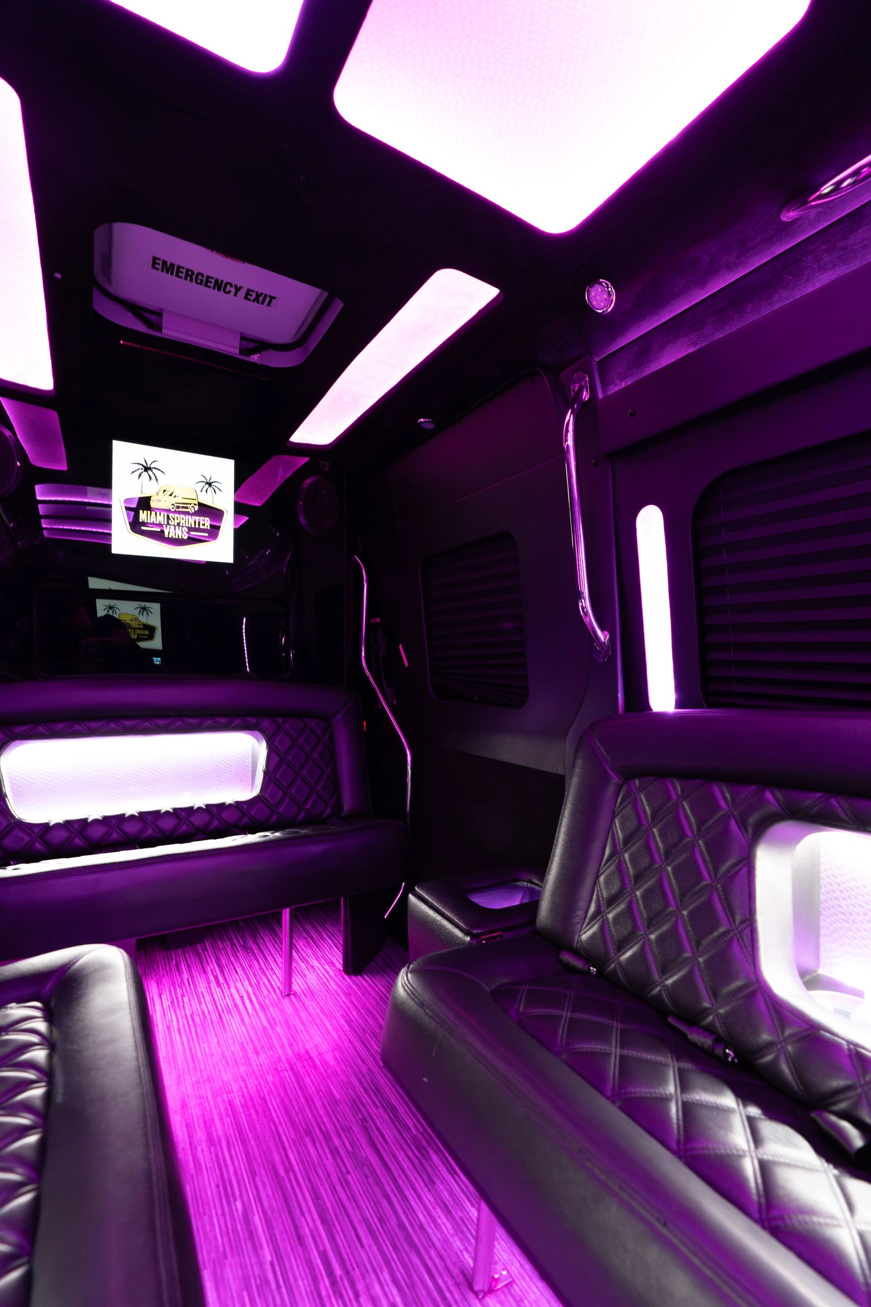 14 Passenger Limo Sprinter — photo 4