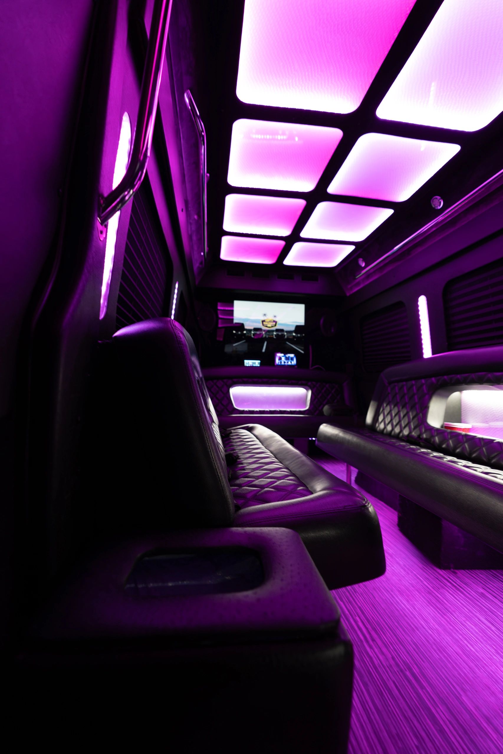 14 Passenger Limo Sprinter — photo 1