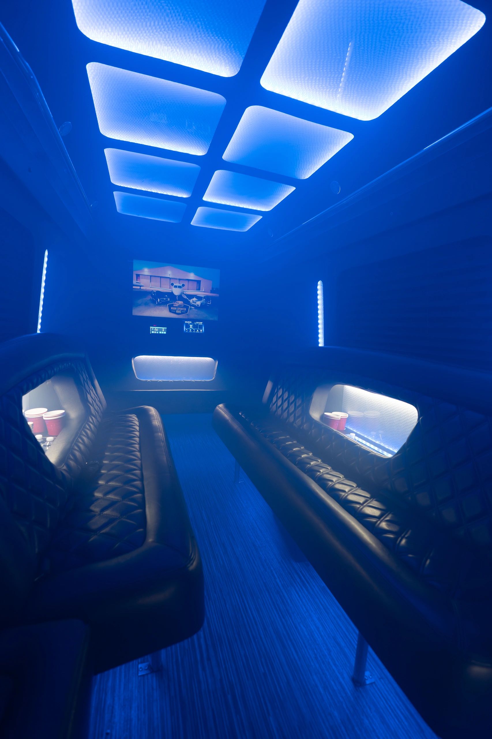 14 Passenger Limo Sprinter — photo 3