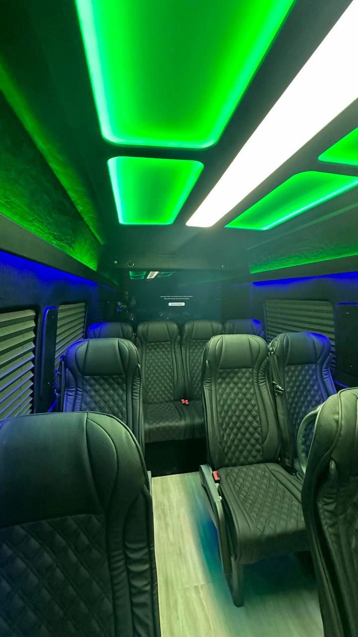 14 Passenger Executive Sprinter — photo 5