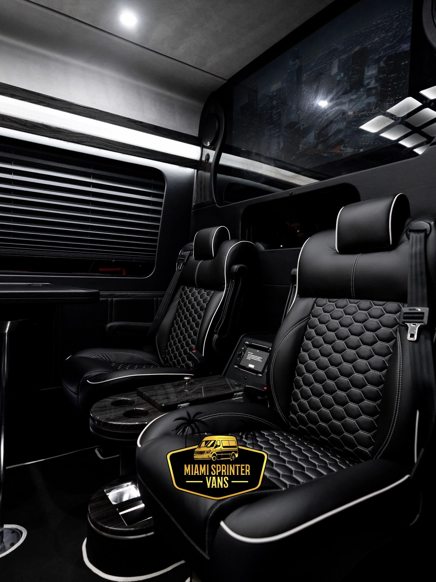 9 Passenger Executive Sprinter — photo 6