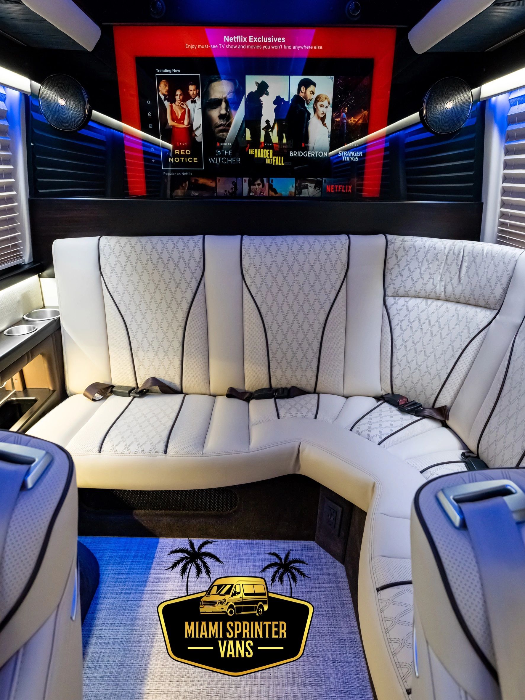 8 Passenger Diplomat Sprinter — photo 2