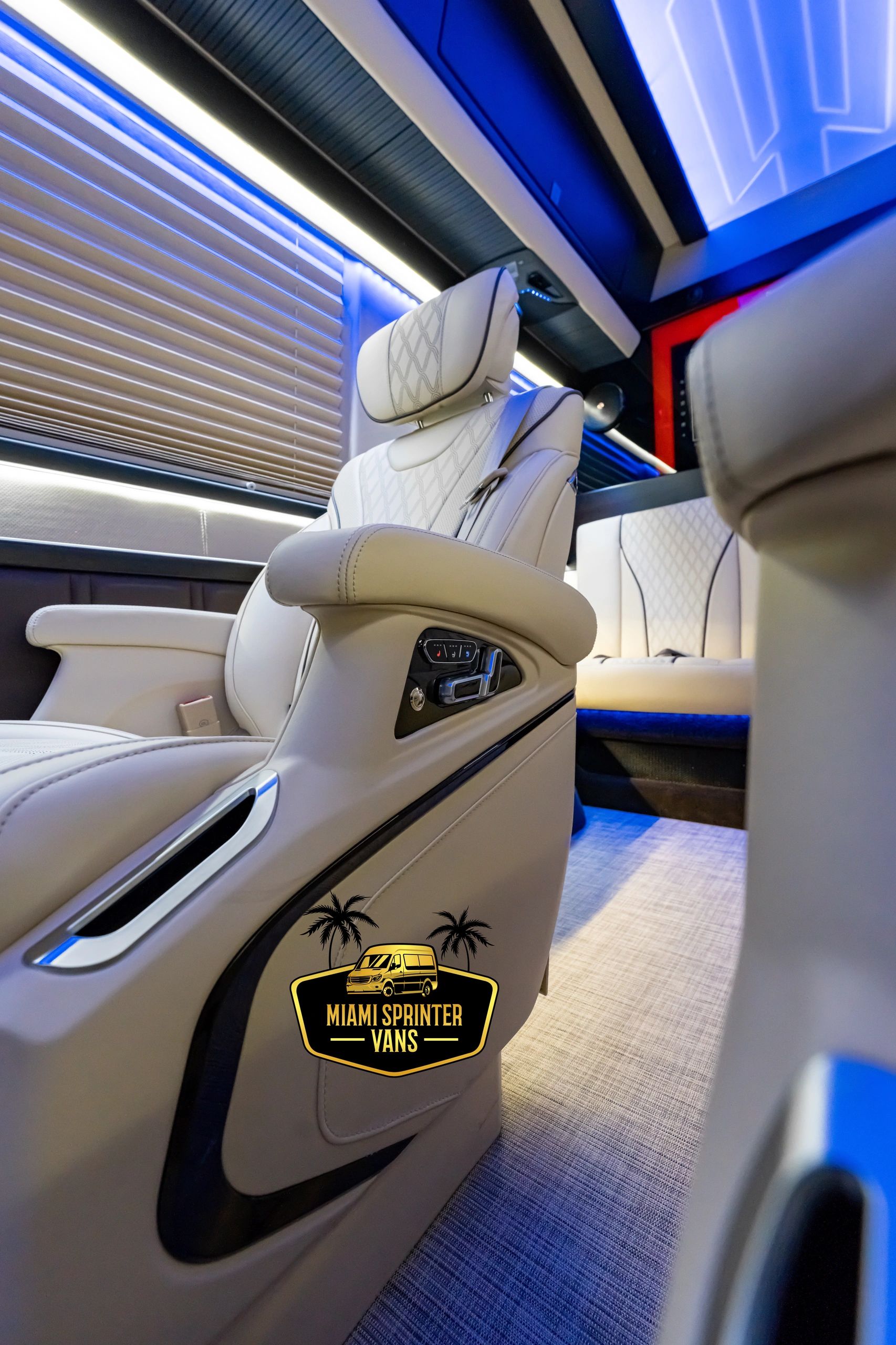 8 Passenger Diplomat Sprinter — photo 6