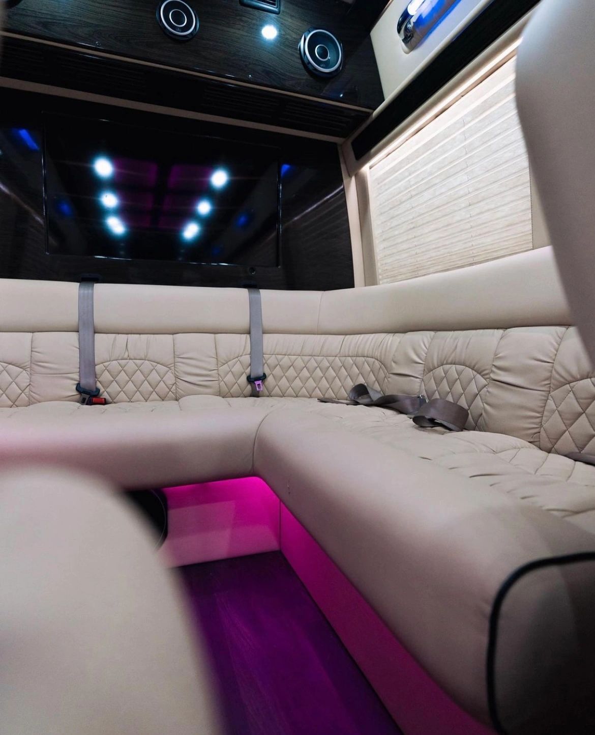 8 Passenger CEO Sprinter — photo 5
