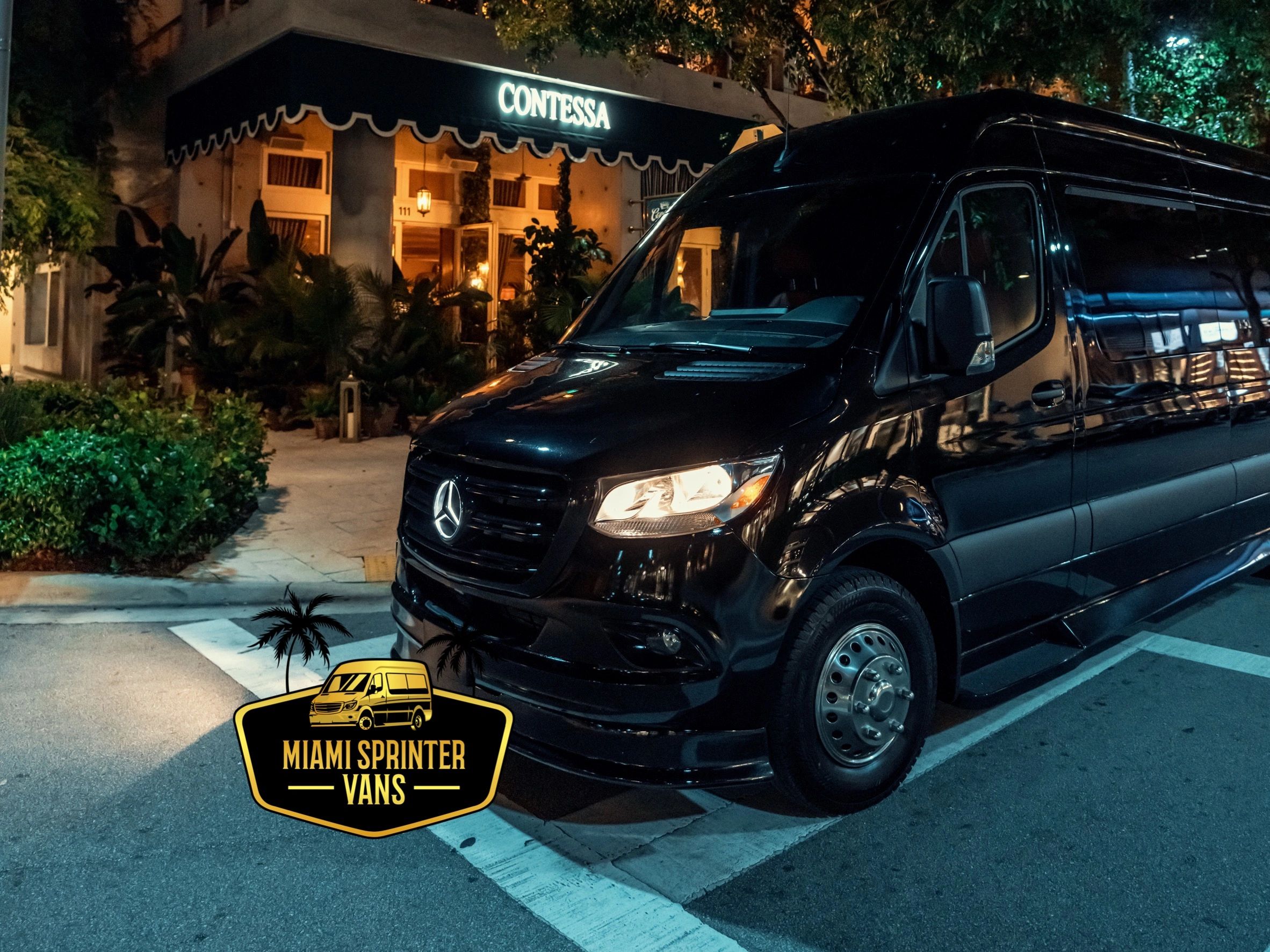 16 Passenger Sprinter Limo — photo 1