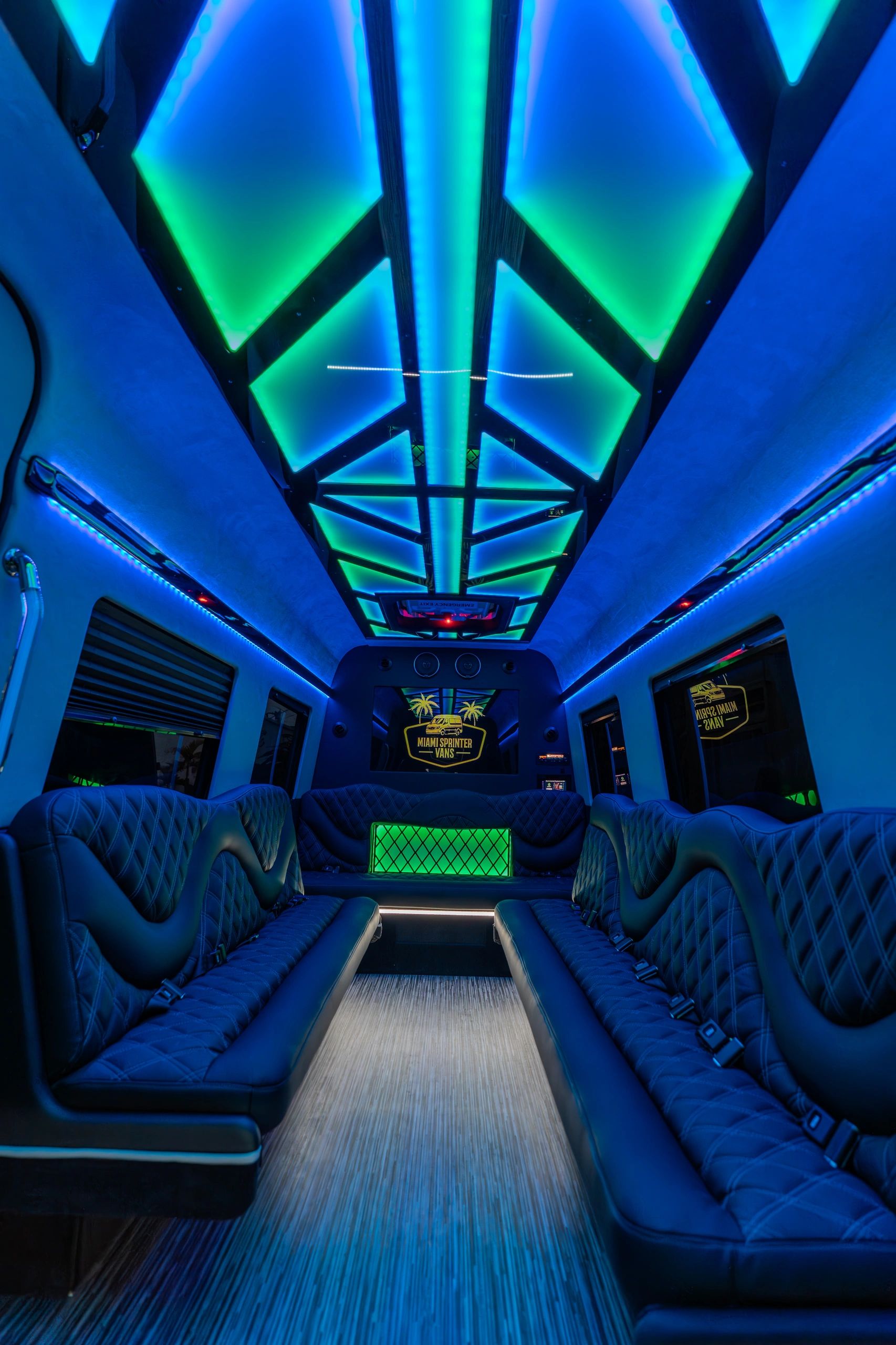 16 Passenger Sprinter Limo — photo 4