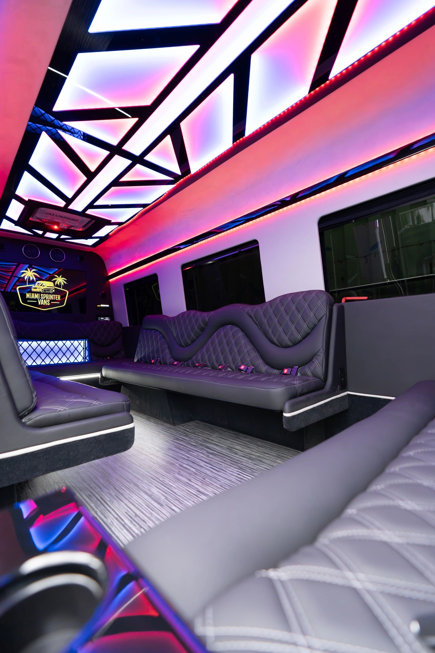 16 Passenger Sprinter Limo — photo 6
