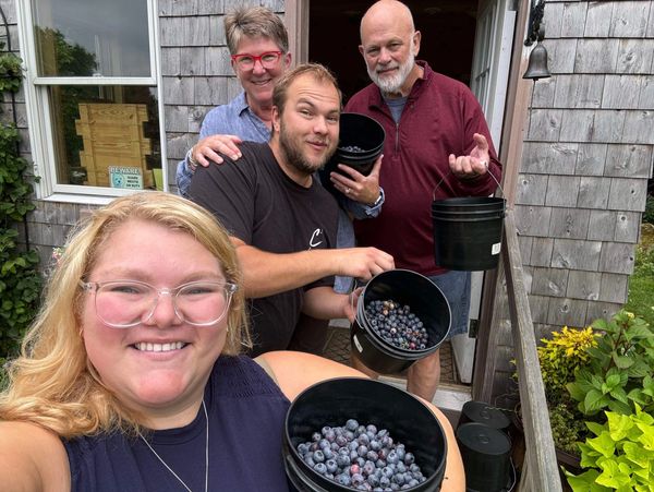 Four people holding buckets of freshly picked blueberries, smiling outdoors.