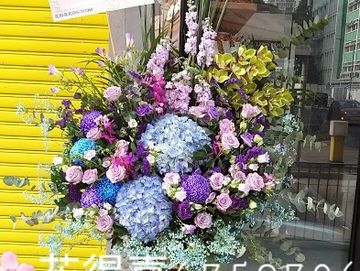 開張花籃，紫色花籃