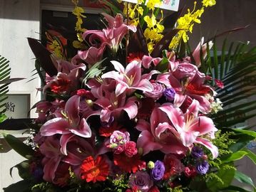 百合花籃，開張花籃