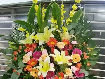 百合花籃，開張花籃
