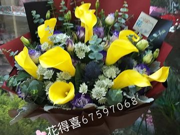 進口花束，黃馬蹄蘭
