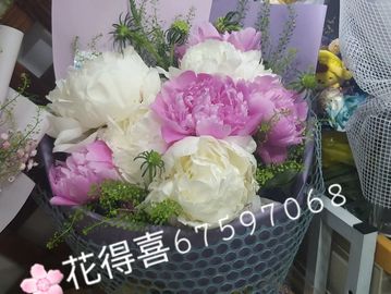 特大牡丹花，進口花束