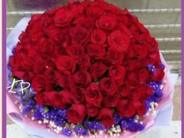 紅玫瑰，毋忘我，白色星花，求婚花束，99枝玫瑰，99枝，玫瑰花束