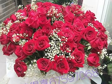 紅玫，白色滿天星，求婚花束，99枝玫瑰，99枝，玫瑰花束