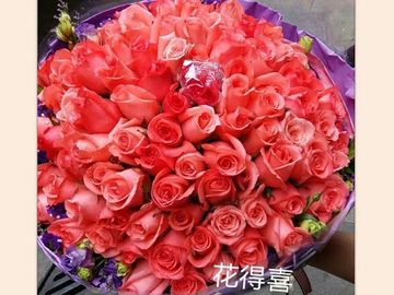 深粉紅，玫瑰，紫桔梗，求婚花束，99枝玫瑰，99枝，玫瑰花束