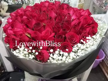 紅玫，白色星花，求婚花束，99枝玫瑰，99枝，玫瑰花束