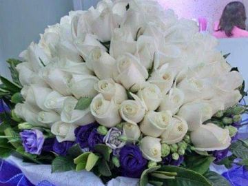 白玫，紫色，桔梗，襯葉，求婚花束，99枝玫瑰，99枝，玫瑰花束