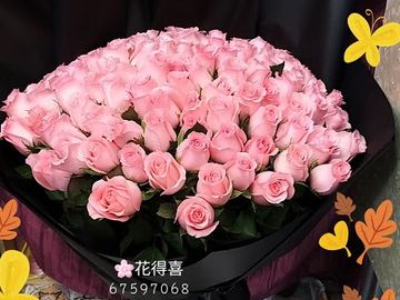 粉紅玫瑰，粉玫，求婚花束，99枝玫瑰，99枝，玫瑰花束
