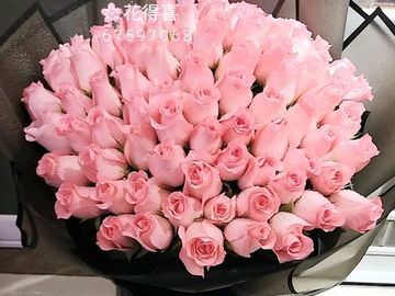 粉紅玫瑰，粉玫，求婚花束，99枝玫瑰，99枝，玫瑰花束