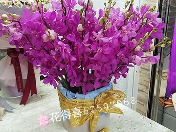 開張鮮花盆景，開張盆景，鮮花盆景，盆景，鮮花枱花，枱花