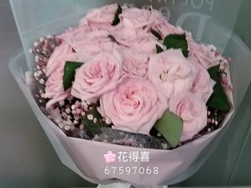 淺粉玫，粉紅星花