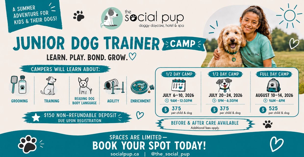 The Social Pup Junior Dog Trainer Summer Camp information
