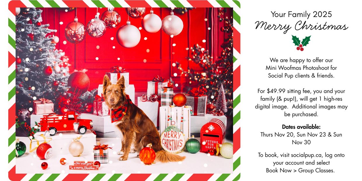 Actual image of 2025 backdrop.